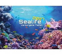 Sealife - verborgene Tiefen - 2027 - Kalender DIN A3: Der Wandkalender mit den schönsten Unterwasser-Motiven für das Jahr 2027 im Format DIN A3 (ca. 42 x 30 cm)!