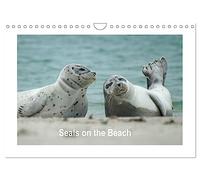 Seals on the Beach (Wall Calendar 2026 DIN A4 landscape), CALVENDO 12 Month Wall Calendar: Seals on the beach of the North Sea on Heligoland