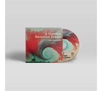 Sean McConnell - A Horrible Beautiful Dream