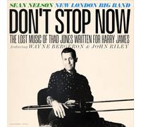 Sean Nelson - Don't Stop Now [Vinilo]