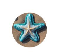 Seashells - Juego de ambientador colgante de estrella de mar en la playa, tarjetas redondas de fragancia de lavanda para interiores de automóviles, paquete de 10/24 tarjetas