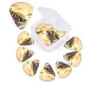 Seaside Scenery - Juego de 12 púas de celuloide de diferentes grosores para guitarra con caja de almacenamiento de púas de guitarra, púa de guitarra personalizada para púas de guitarra acústica