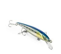 Seaspin Eja 100 - Señuelo Artificial para Pesca a Spinning, Jerk Minnow Slow Floating 100 mm 10 g - Control Preciso, Lances Largos - para Lubina y Predadores (SAR)