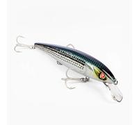 Seaspin Eja 130 Artificial per la Pesca in Mare, CEF, 130 mm