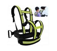 Seat Belt for A Child, Harness for A Motorcycle