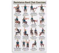 Seated Resistance Band Chair Exercises For Seniors Mobility Training Workout Chart Canvas Wall-Art Home Fitness(Unframed,08x12inch(20x30cm))
