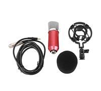 SEAYACK Micrófono direccional en forma de corazón con micrófono con cancelación de ruido equipado con chip de alta fidelidad