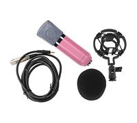 SEAYACK Micrófono direccional en forma de corazón con micrófono con cancelación de ruido equipado con chip de alta fidelidad