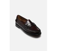Sebago CLASSIC DAN WOMAN 37 Marrón