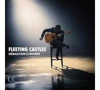 Sébastien Llinares, guitare - Fleeting Castles