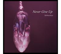 Sebiojazz - Never Give Up
