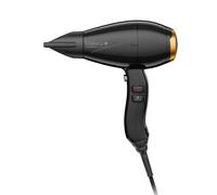 Secador de pelo VALERA 9200 IONIC PLUS negro
