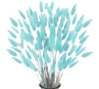 Secas Naturales Cola de Conejo Flor,Hierba Seca de Cola de Conejo 60pcs Hierba de Pampas Secas para La Sala de Estar del Hogar Decoración de Racimos de Flores,Azul