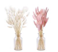 Secas Naturales Cola de Conejo Flor Ltsabed 50 Piezas DIY Pampas Secas Decoracion Ramos de Flores Secas Naturales Hierba de Pampas Secas para Decoración del Hogar Arreglos Accesorios Boda(Ros Blanco)