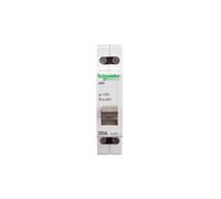 Seccionador modular 20A 2P iSW A9S60220 Acti9