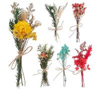 SECFOU 6piezas Unidades Mini de Flores Secas Naturales para Decoración Bohemia de Bodas y Manualidades Pequeños Eternos para Centros de Mesa y Detalles Regalo