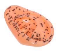 SECFOU Modelo Auricular de Acupuntura para Aprendizaje y Práctica de Reflexología, Anotaciones en Chino y Mapeo Preciso de Puntos