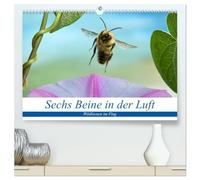 Sechs Beine in der Luft - Wildbienen im Flug (hochwertiger Premium Wandkalender 2026 DIN A2 quer), Kunstdruck in Hochglanz: Bilder von fliegenden Wildbienen