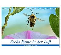 Sechs Beine in der Luft - Wildbienen im Flug (Tischkalender 2026 DIN A5 quer), CALVENDO Monatskalender: Bilder von fliegenden Wildbienen