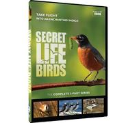 Secret Life of Birds: 5 Part Series [USA] [DVD]
