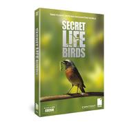 Secret Life of Birds [DVD] [Reino Unido]