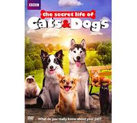 Secret Life Of Cats & Dogs [Edizione: Stati Uniti] [DVD]