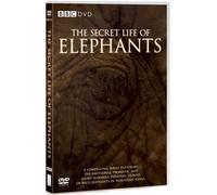 Secret Life of Elephants - The Secret Life of Elephants [Reino Unido] [DVD]