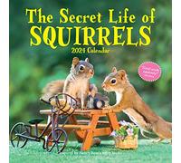 Secret Life of Squirrels Wall Calendar 2024: A Year of Wild Squirrels
