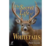 The Secret Life Of Whitetails [Reino Unido] [DVD]