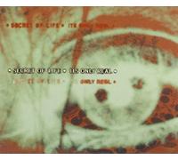 Secret of Life, The - Its Only Real