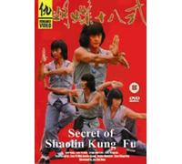 Secret of Shaolin Kung Fu [Italia] [DVD]
