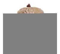 secreta segura, de seguridad de resina con forma de avellana, de seguridad secreta para llaves ocultas, de seguridad secreta en forma de avellana, de claves en forma de