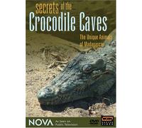 Secrets of the Crocodile Caves [Alemania] [DVD]