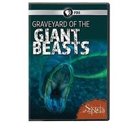 Secrets of the Dead: Graveyard of the Giant Beasts [USA] [DVD]