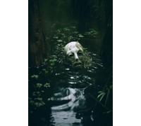 Secrets of Willow Creek