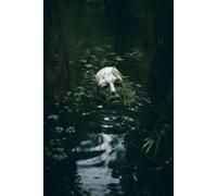 Secrets of Willow Creek