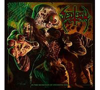 Sectesy - In The Secretion Of Upcoming Days (Red Vinyl, Signed Printed Inner Sheet, Cd, T-Shirt, Poster, Bone, Graveyard Dirt, Beer Mat) [Vinilo]