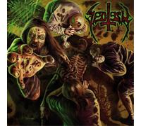 Sectesy In the Secretion of Upcoming Days (Vinyl) 12" Album (Importación USA)