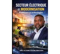 SECTEUR ÉLECTRIQUE ET MODERNISATION: Problèmes et technologies