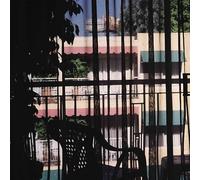 SECTION 25 - DARK LIGHT [Vinilo]