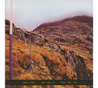 Section 25 - From The Hip [Vinilo]