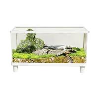 Secure Living Space: The Acrylic Terrarium Features a Lid That Prevents p