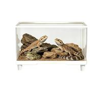 Secure Living Space: The Acrylic Terrarium Features a Lid That Prevents p
