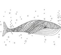 SECURIT - Pizarra con diseños de Animales Ventana Plantillas Incluye Marcador de Tiza, Color Blanco, A3 Tamaño, Juego de 3