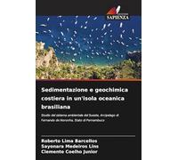 Sedimentazione e geochimica costiera in un'isola oceanica brasiliana: Studio del sistema ambientale del Sueste, Arcipelago di Fernando de Noronha, Stato di Pernambuco