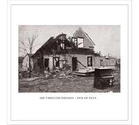 See Through Dresses - End of Days [Vinilo]