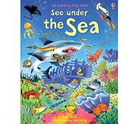 Usborne – Ver bajo el mar 1 (Mira por dentro)
