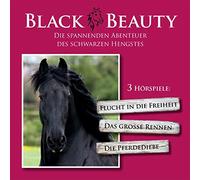 Seebauer,Hannes - Black Beauty die Spannenden Abenteuer des Schwarze