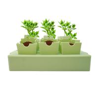 Seed Trays - Bandeja de arranque, contenedor de semillas reutilizables, bandeja para iniciar plantas | Gardening Greenhouse Growing Starting Supplies For Propagation Vegetable Patch Prep Flower Bed