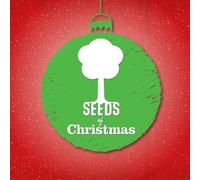 Seeds Family Worship - Seeds Of Christmas EP - Christmas music with lyrics directly from the Bible!